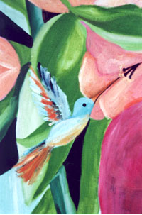 Kolibri